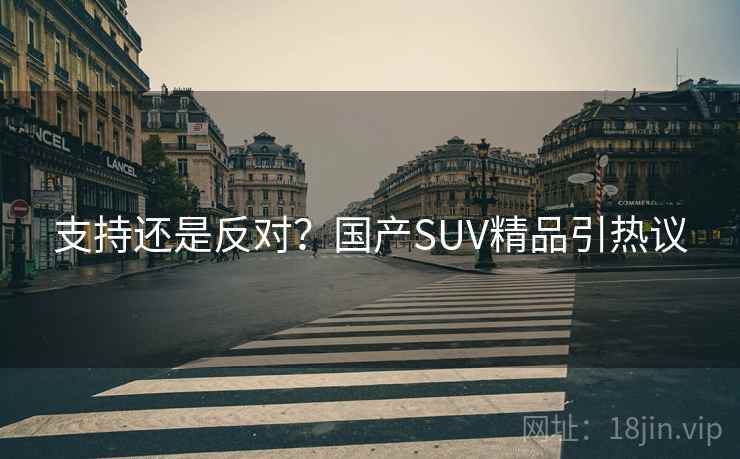 支持还是反对？国产SUV精品引热议
