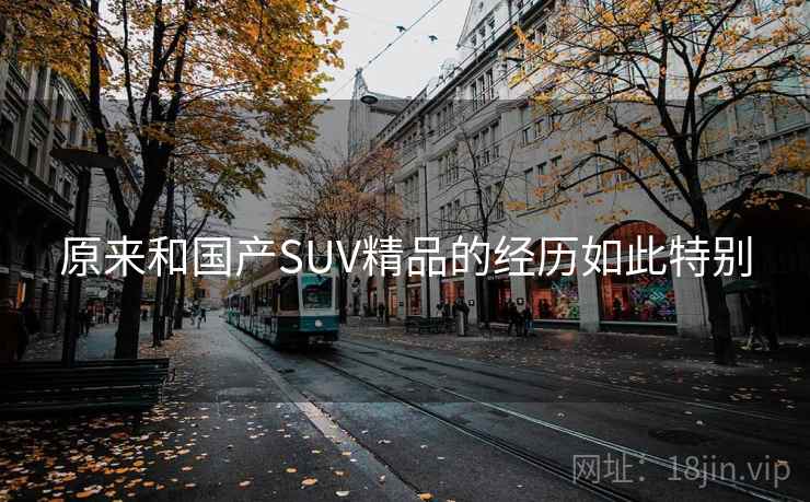 原来和国产SUV精品的经历如此特别